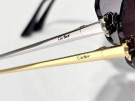 Picture of Cartier Sunglasses _SKUfw77796224fw